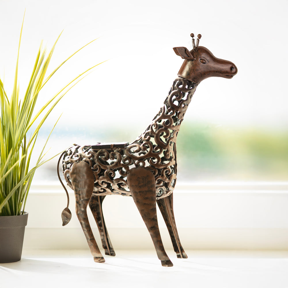 Solar light up giraffe garden ornament