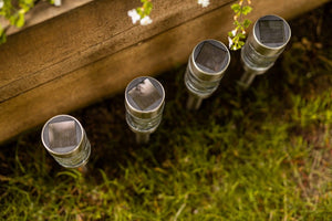 Solar pathway lights displayed in garden border