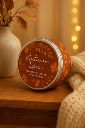 Spiced seasonal scented candle