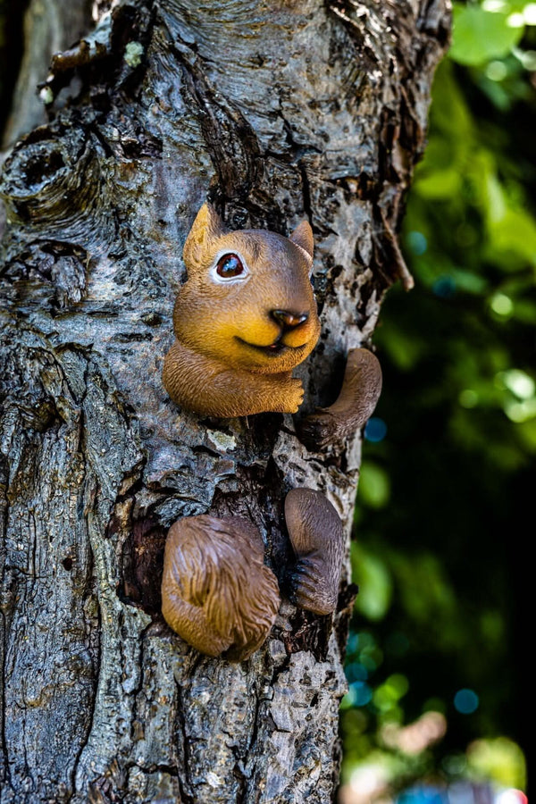Resin squirrel peeking around tree trunk