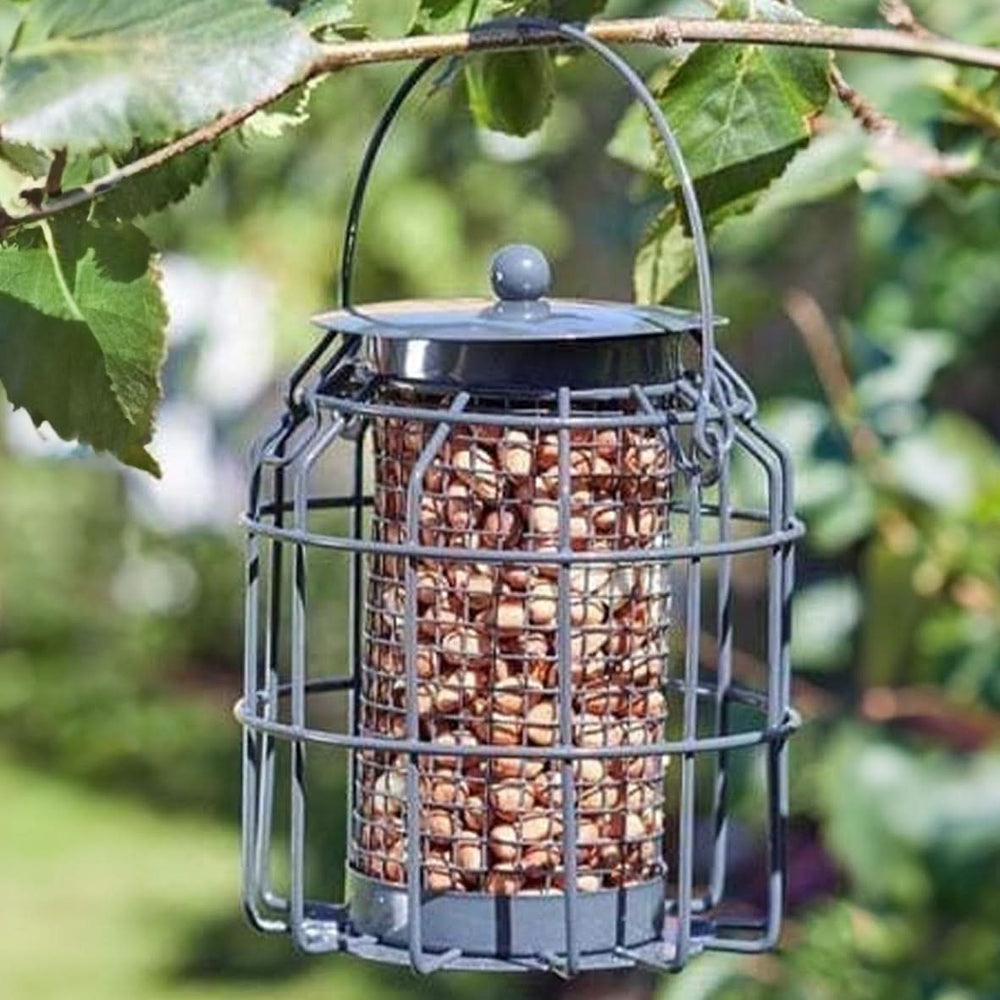 Bird peanut feeder cage with squirrel guard