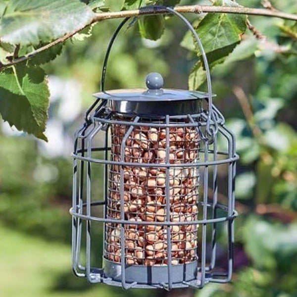 Hanging metal peanut feeder for wild birds