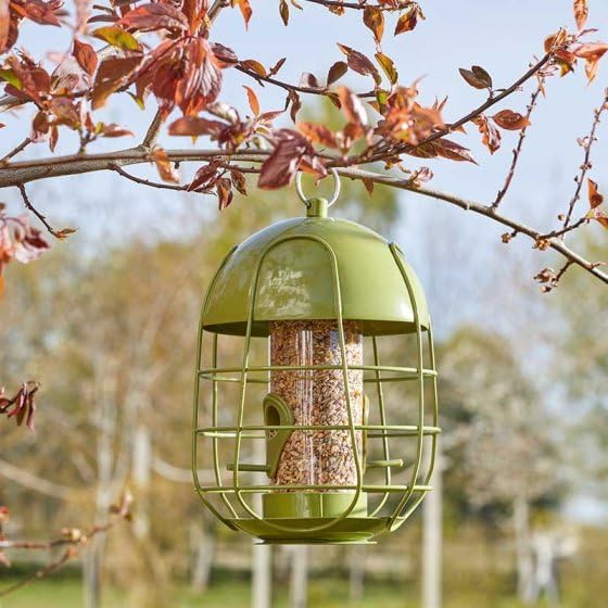 Squirrel proof caged bird seed feeder