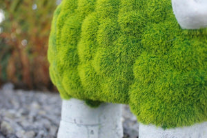 Stone effect sheep ornament shown from front