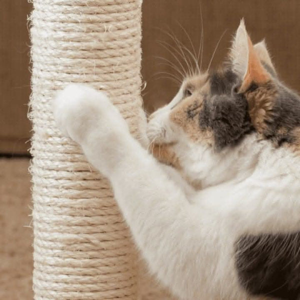 Sturdy indoor cat scratching post with soft plush covering