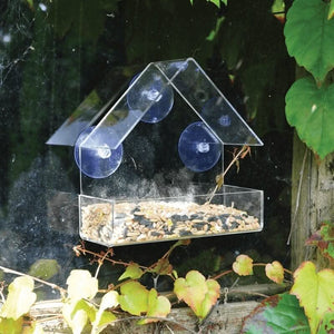 Transparent bird feeder attached to outside window glass
