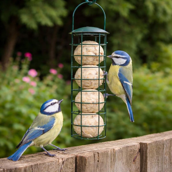 garden bird feeder that holds four fat balls
