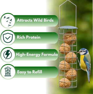 Suet bird food for outdoor feeding stations.