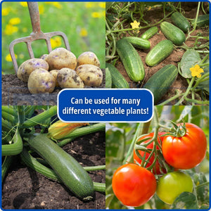 garden tomato plant feed