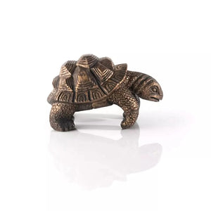 Tortoise garden ornament hanging over pot edge