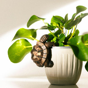 Tortoise plant pot hanger with bronze effect finish