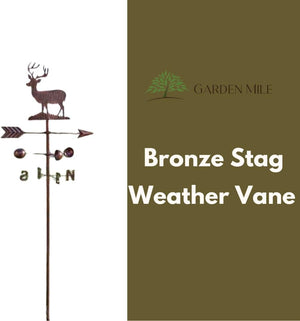 Traditional bronze garden weathervane