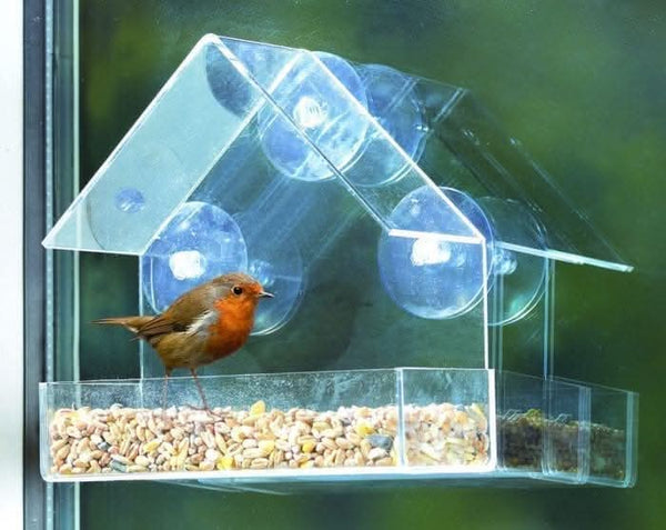 Small wild bird feeder attached to glass