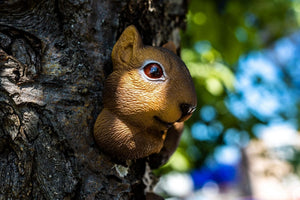 Novelty squirrel decoration for outdoor garden