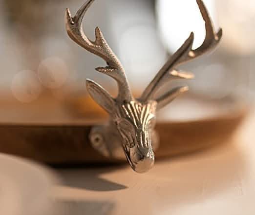 71ou1EpvhPL._AC_SX522_