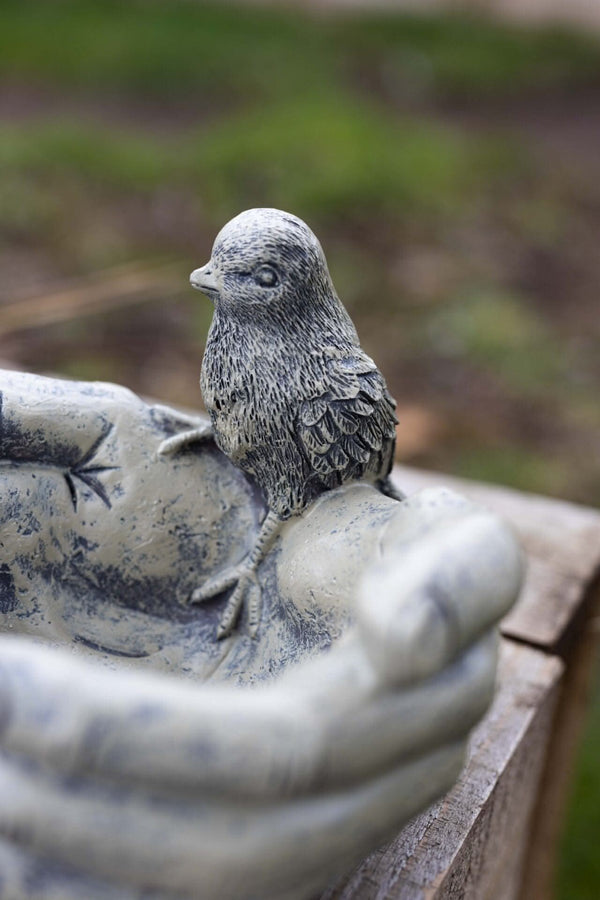 Shabby chic bird bath with perched bird