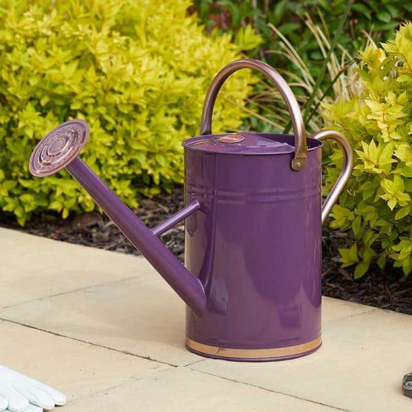 Violet purple watering can with detachable rose head