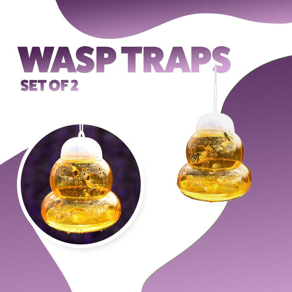 Wasp Traps Pack of 2