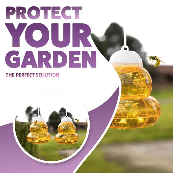 Wasp Traps Pack of 2