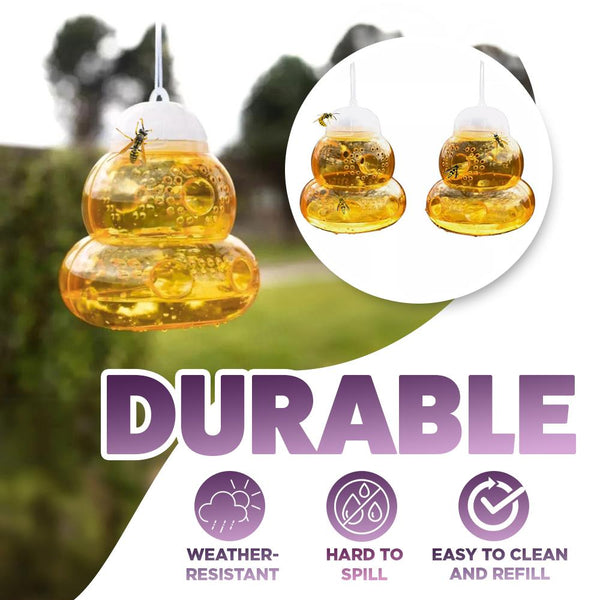 Wasp Traps Pack of 2