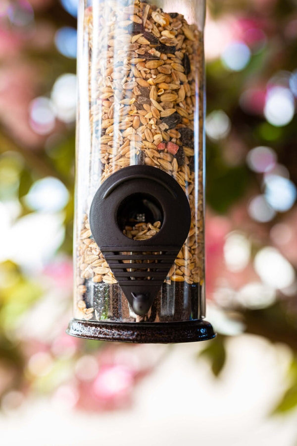 Hanging seed feeder for blue tits and robins