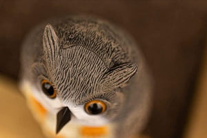 Close-up of a plastic owl with a blurred background