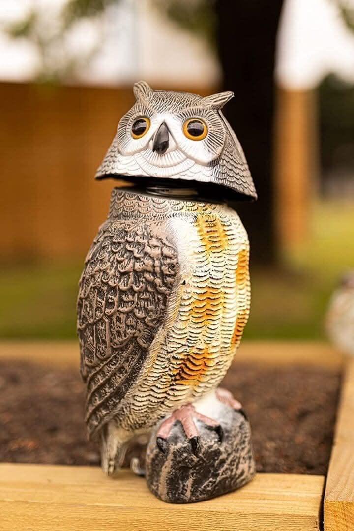 Plastic owl figurine on a wooden surface with a blurred natural background