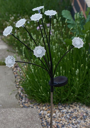 solar pathway lights with daisy flowers