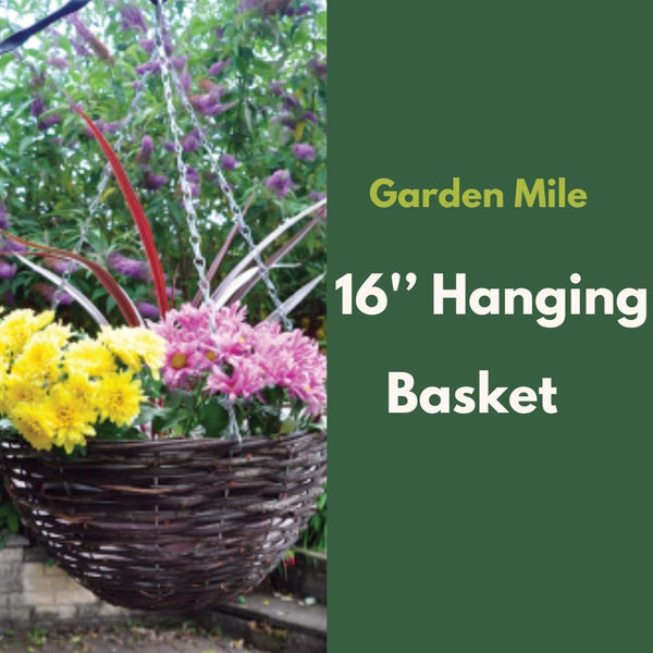 wicker hanging plant pot