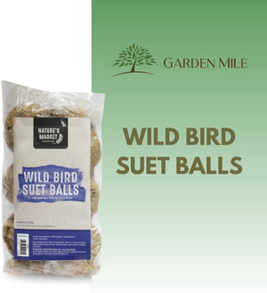 Wild bird fat balls with peanuts and sunflower seeds.