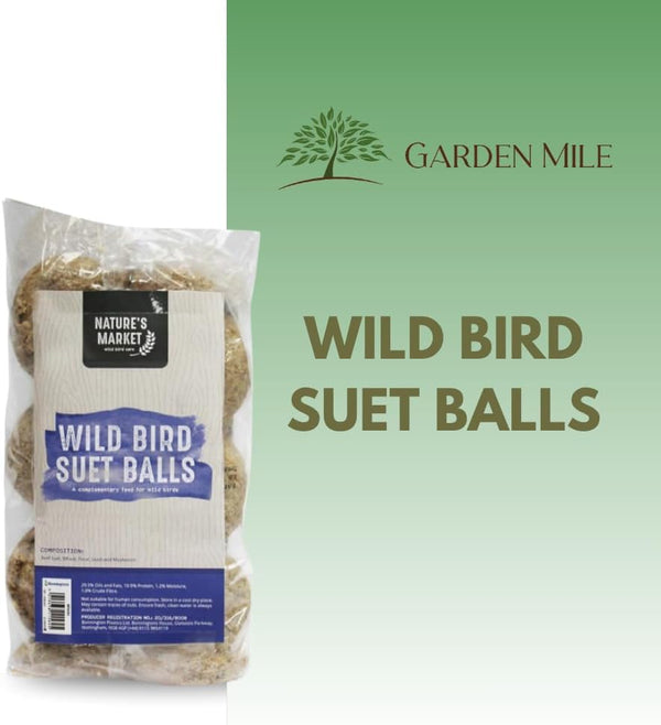 Wild bird fat balls with peanuts and sunflower seeds.