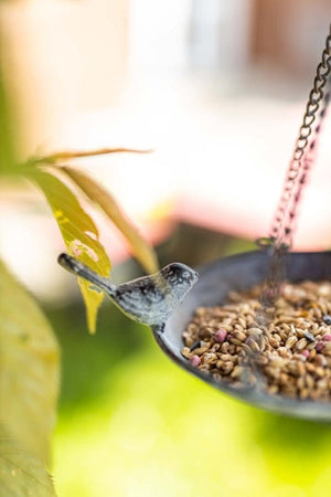 Wildlife garden bird bath with hanging chain