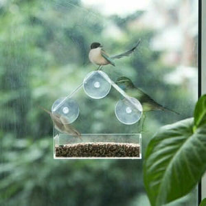 Clear plastic bird feeder designed for window mounting