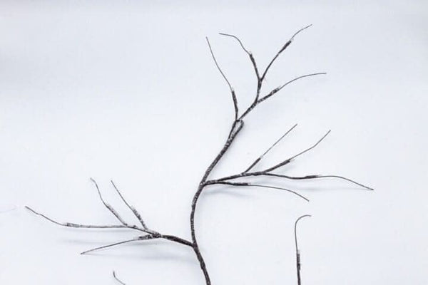 Artificial birch lights arranged for a winter display