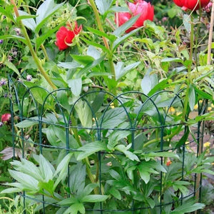 Push in wire fencing around flower beds