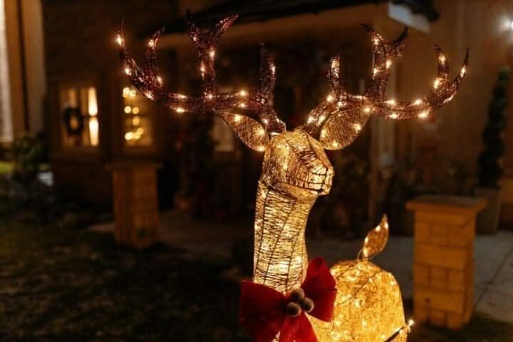 Large Christmas Light Up Reindeer 183cm (Raised Leg)