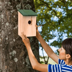 30mm entrance hole on wooden nesting box