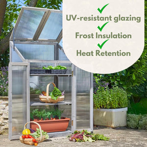 Compact greenhouse for patio gardens