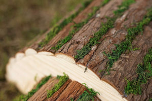 Solid wood garden house for hedgehogs
