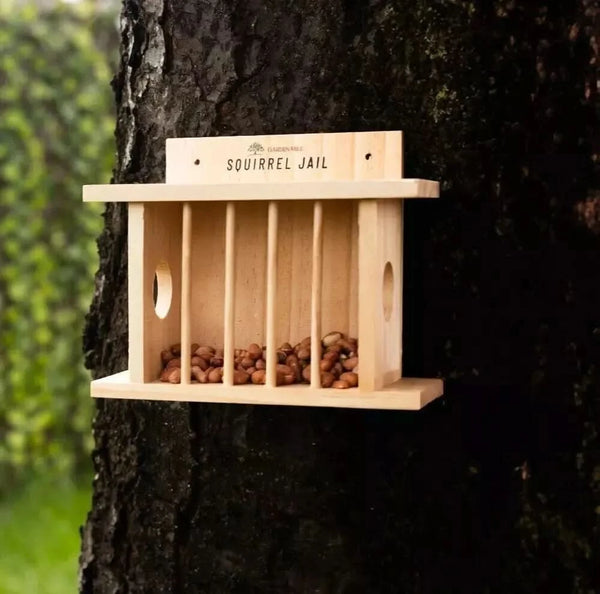 Novelty squirrel feeder filled with nuts