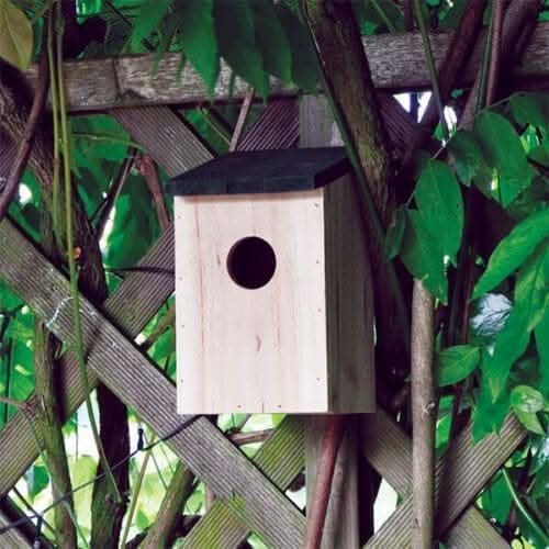 Wooden bird house with hinged cleaning lid