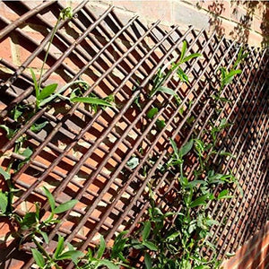 Expandable wooden garden trellis panel