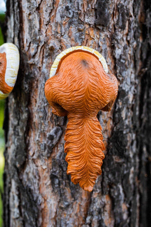 Decorative squirrel garden accessory on tree trunk