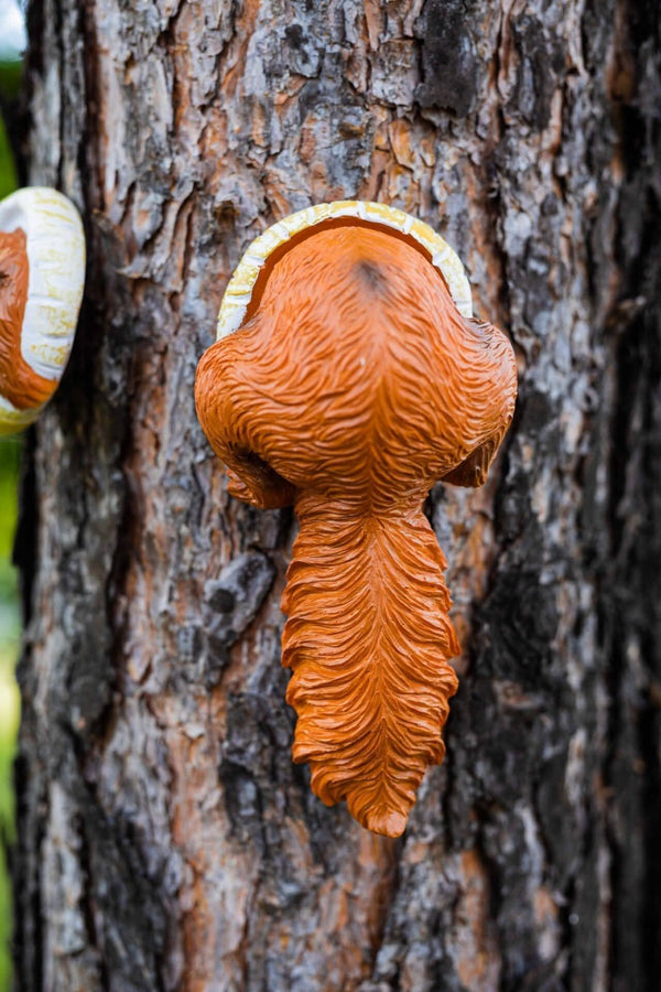 Decorative squirrel garden accessory on tree trunk