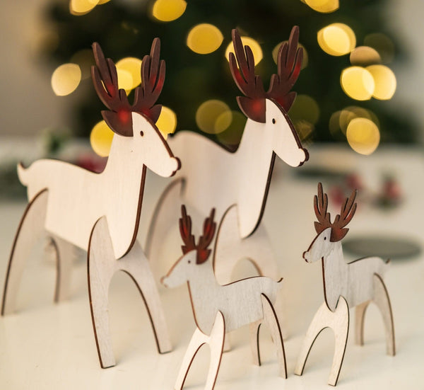 xr100famcolourcorrected-31