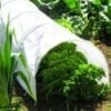 allotment-transparent-grow-tunnel-plant-protector-3m