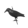 realistic-pest-control-crow-decoy