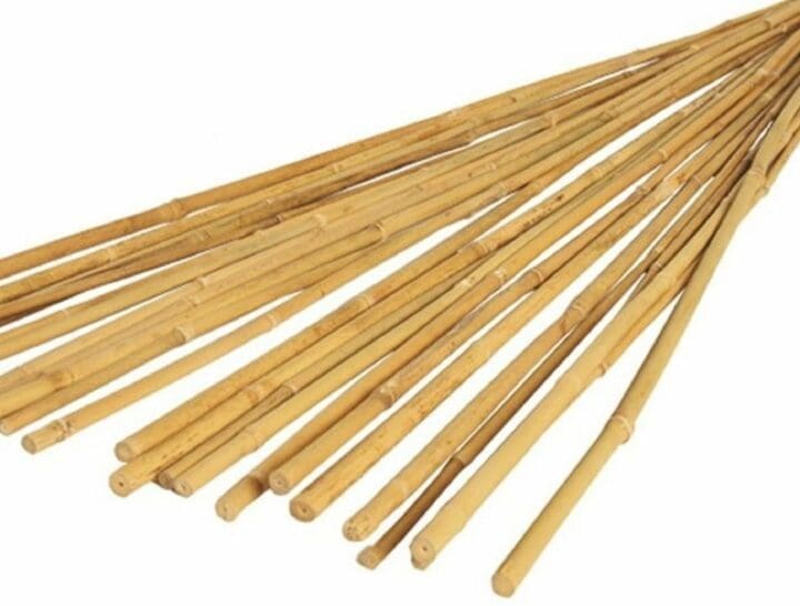 sturdy-bamboo-garden-canes-4ft120cm-set-of-20