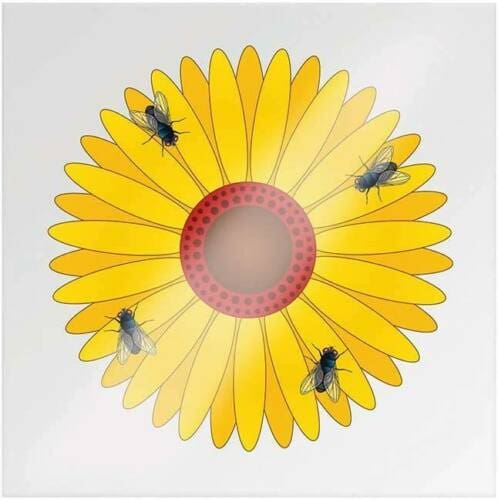 sunflower-design-sticky-window-fly-traps-set-of-5