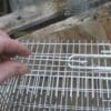 x-large-collapsible-humane-rat-trap-cage